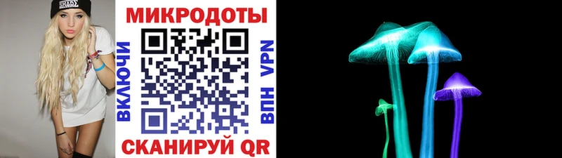 купить наркоту  Ахтубинск  Псилоцибиновые грибы мицелий 